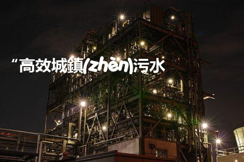 “高效城鎮(zhèn)污水處理流程，守護(hù)碧水藍(lán)天新篇章”